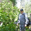 Sergey, 56, Lukhovitsy